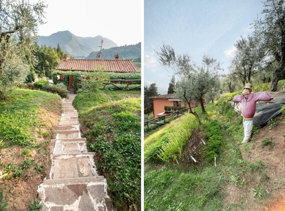 Casetta Di Butia, Appartamento Iris Lucca Exteriér fotografie