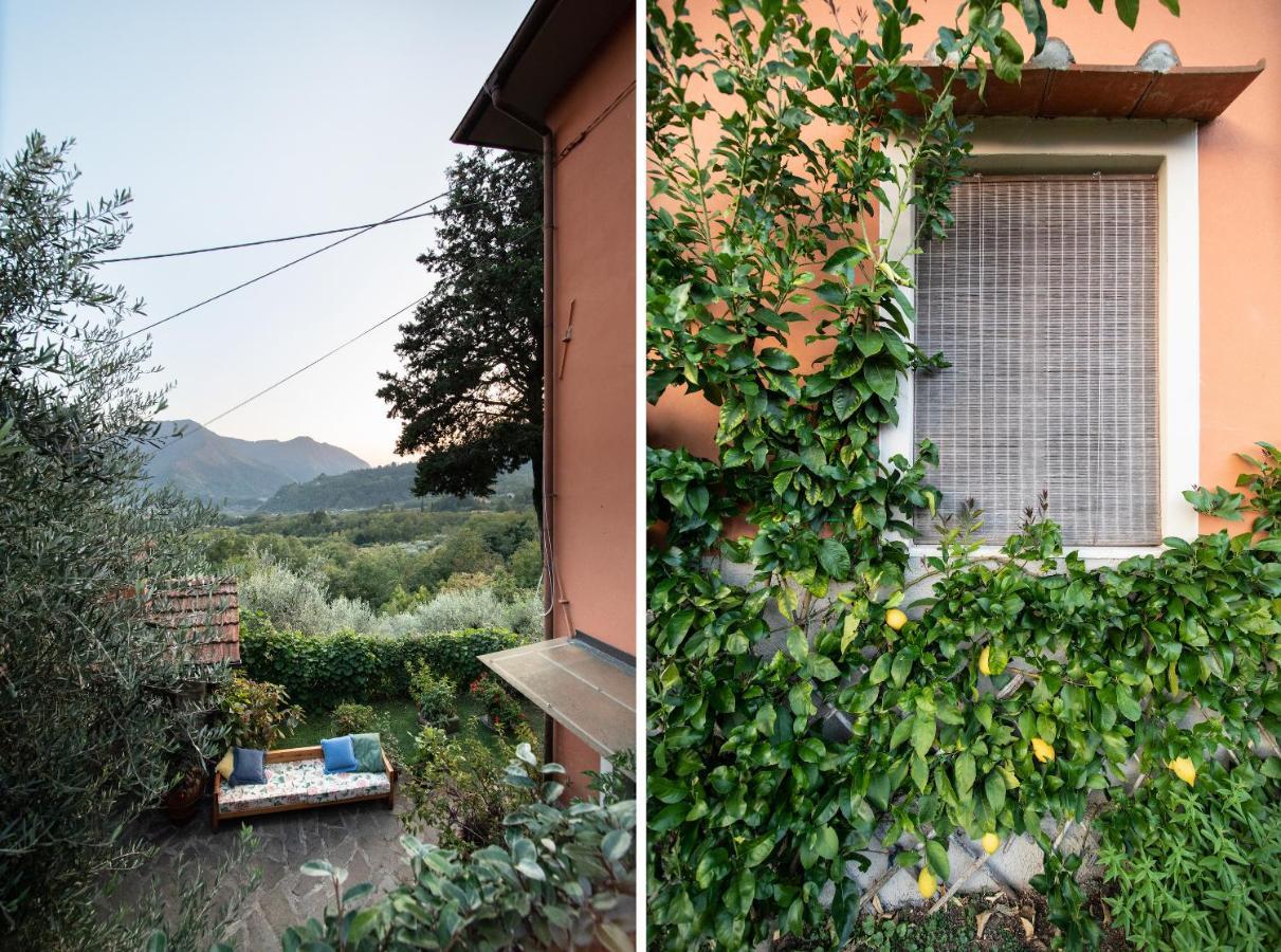 Casetta Di Butia, Appartamento Iris Lucca Exteriér fotografie