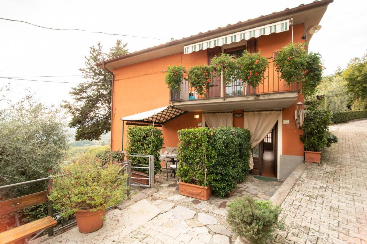 Casetta Di Butia, Appartamento Iris Lucca Exteriér fotografie