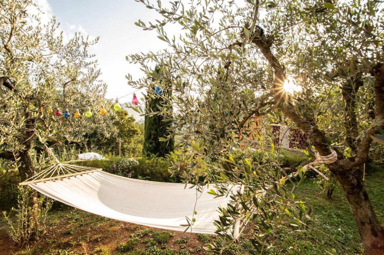 Casetta Di Butia, Appartamento Iris Lucca Exteriér fotografie