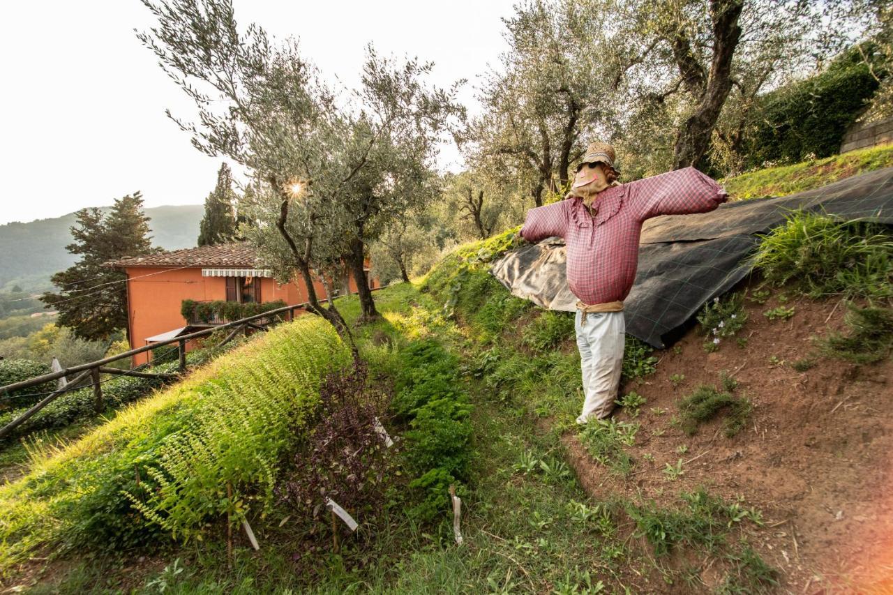 Casetta Di Butia, Appartamento Iris Lucca Exteriér fotografie