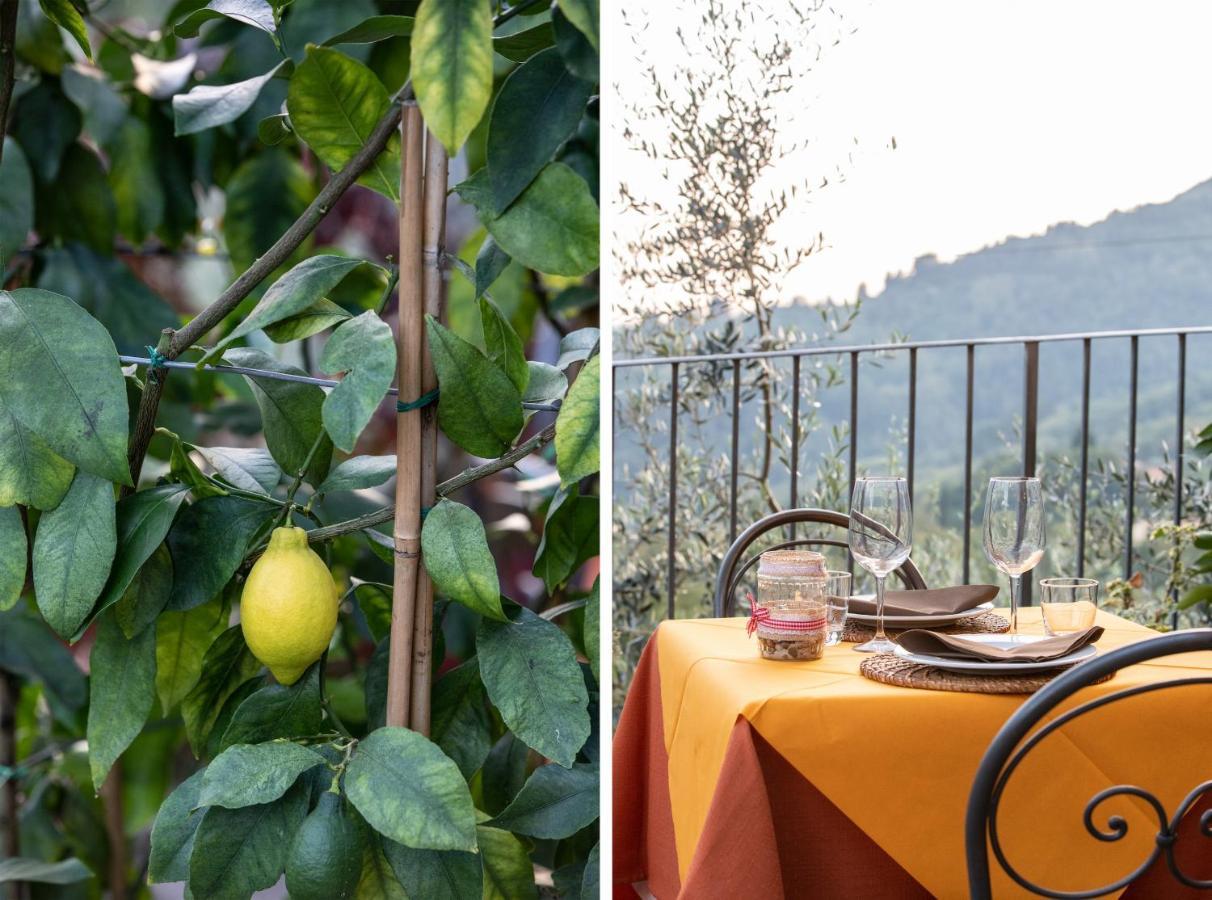 Casetta Di Butia, Appartamento Iris Lucca Exteriér fotografie
